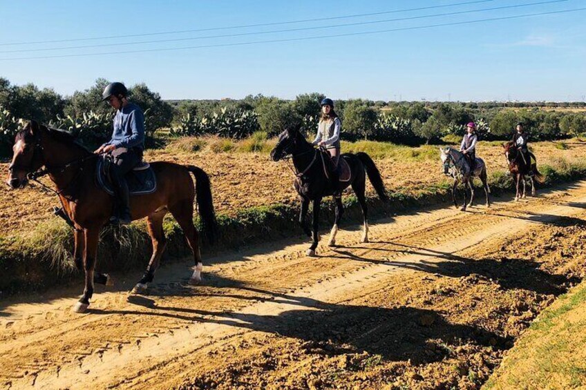 country horse ride