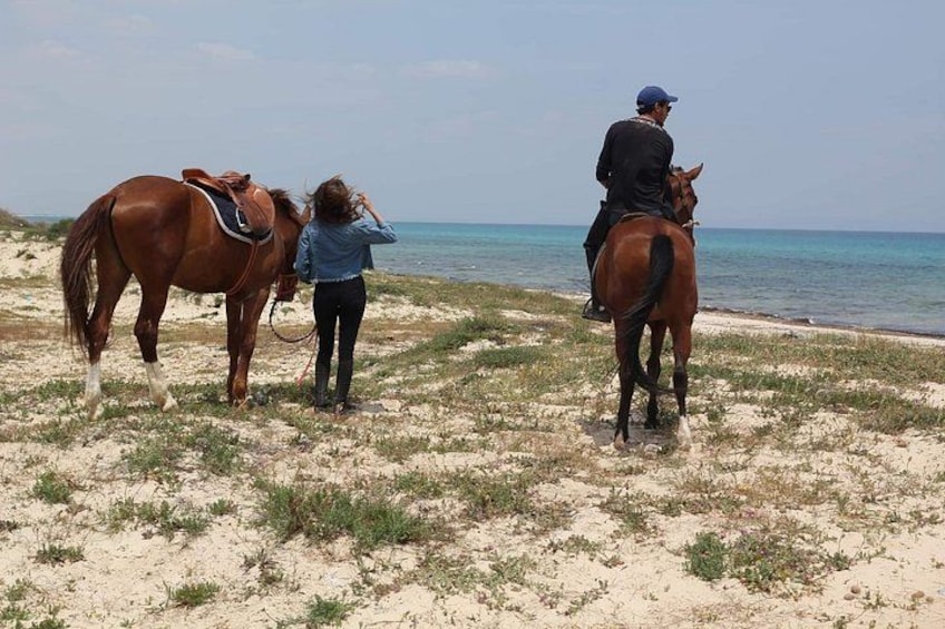 Two horses on a sandy beach with the ocean in the background. 3