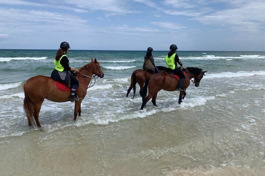 horseback riding on the beach