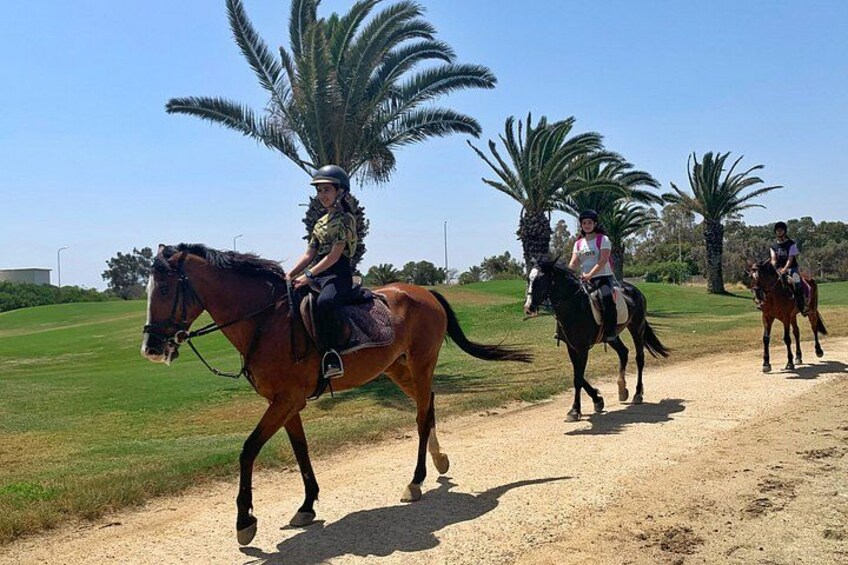 country horse ride 4