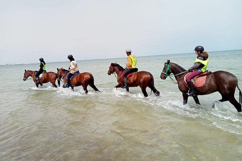 horseback riding on the beach 1
