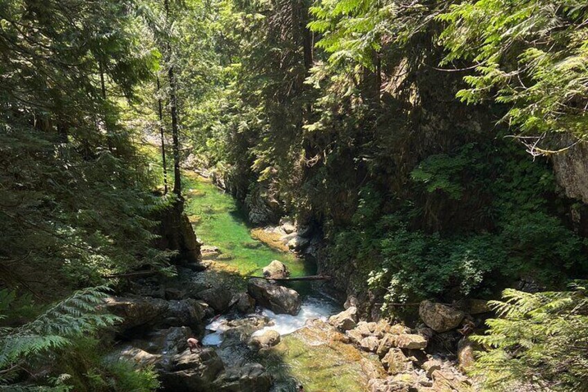 Hike Lynn Canyon and Bike Seymour Demonstration Forest