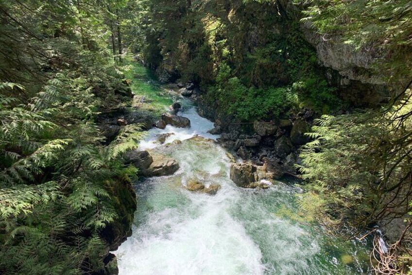 Hike Lynn Canyon and Bike Seymour Demonstration Forest