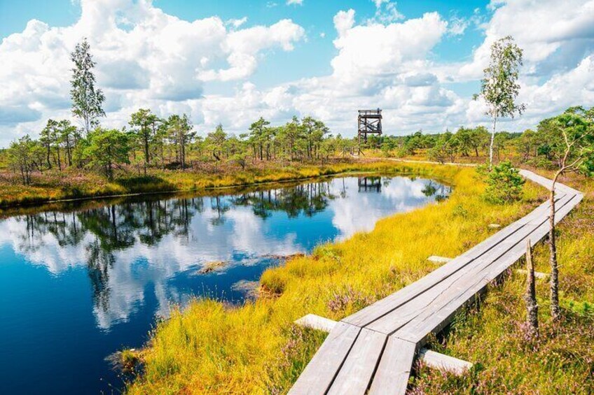 Great Kemeri Bog Boardwalk