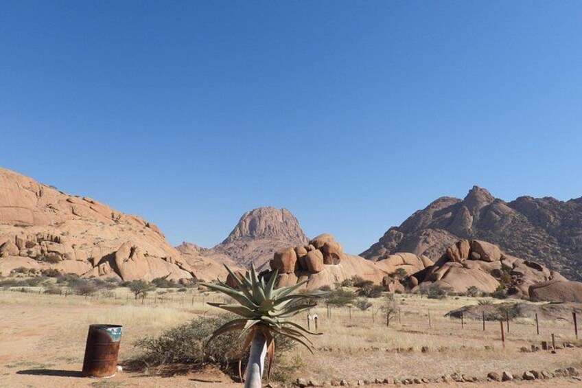 Un paysage désertique avec des montagnes rocheuses, une végétation clairsemée et un cactus au premier plan. 1