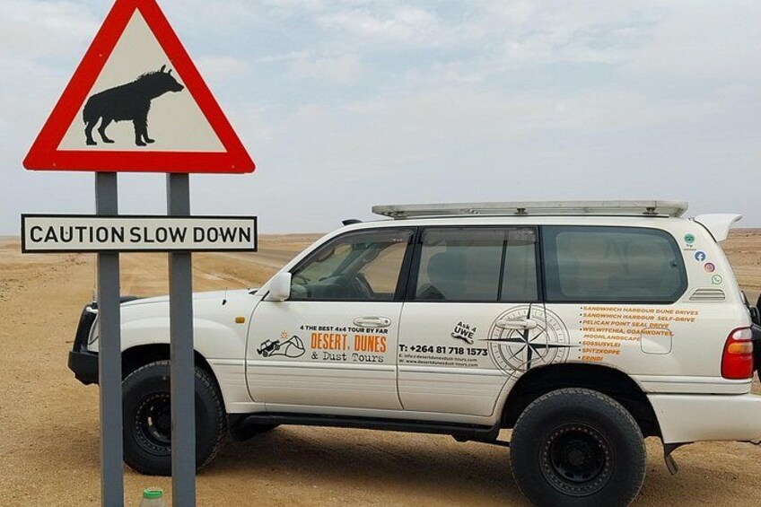 Un véhicule de safari blanc, orné d’une publicité pour des excursions dans le désert, d’un panneau d’avertissement indiquant un passage de rhinocéros et d’un paysage désertique. 3