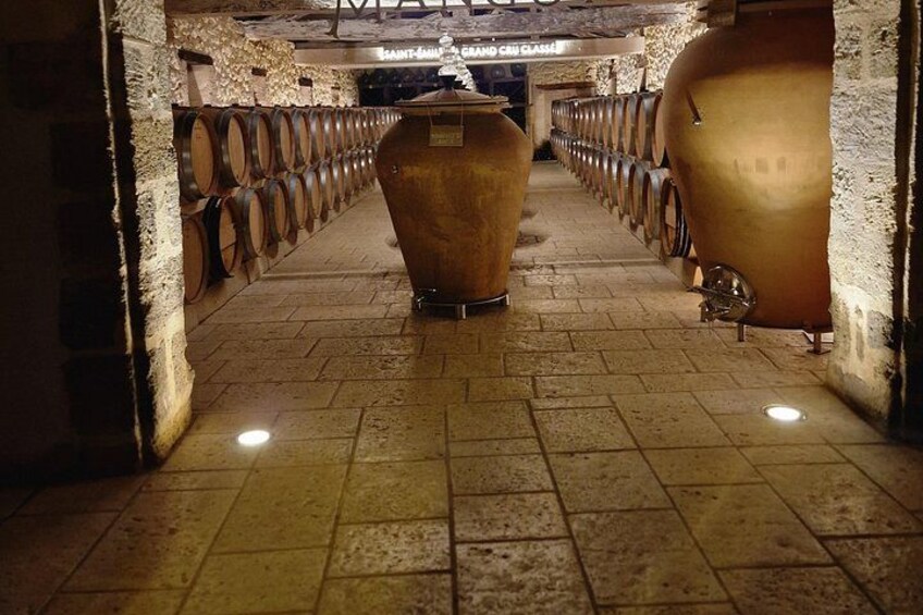 Saint-Émilion Wine Tour By Premium Electric Bike, Lunch Included 2