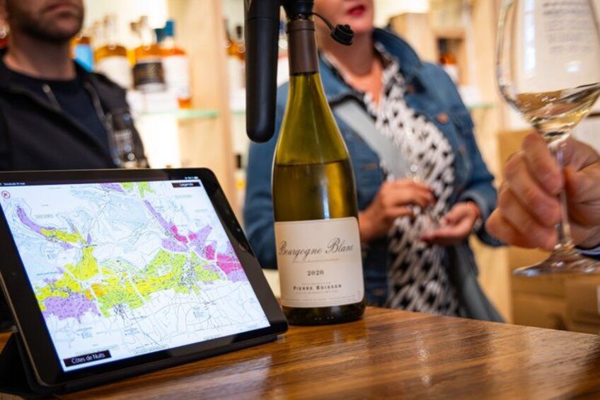 Chardonnay Masterclass in Dijon, from Village to Grand Cru 2