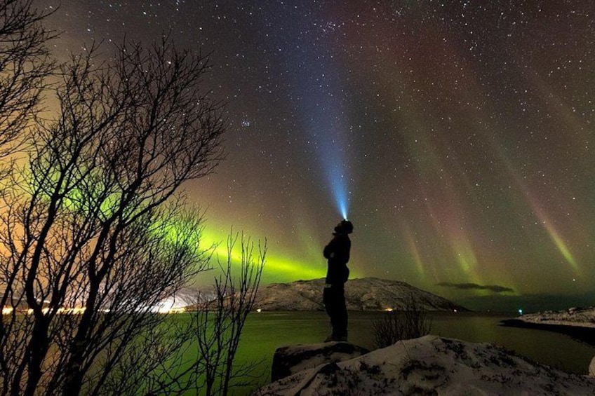 Una persona de pie bajo un cielo nocturno con auroras boreales visibles. 2