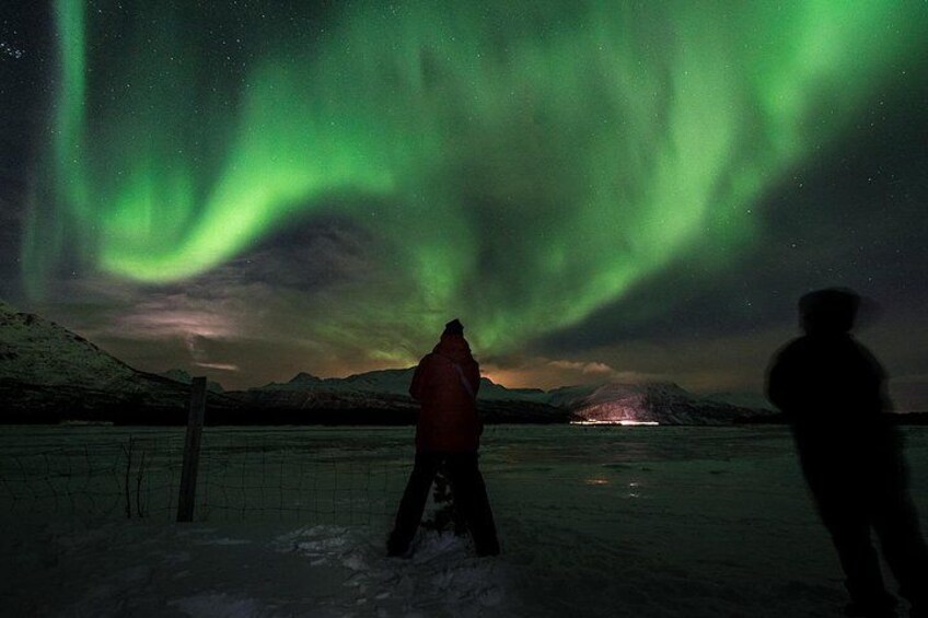 Una persona de pie en un paisaje nevado, observando la aurora boreal. 4