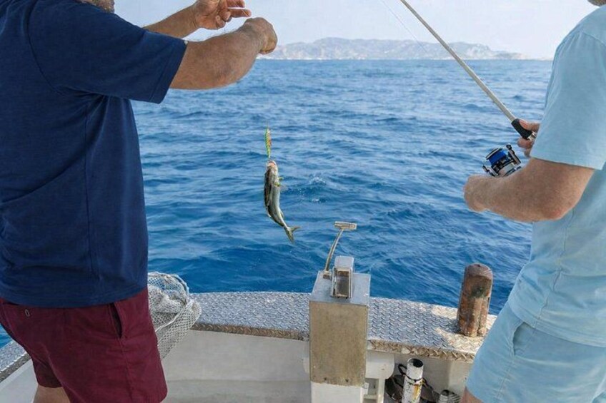Shared Morning Cruise from Pollonia to Polyaigos 5