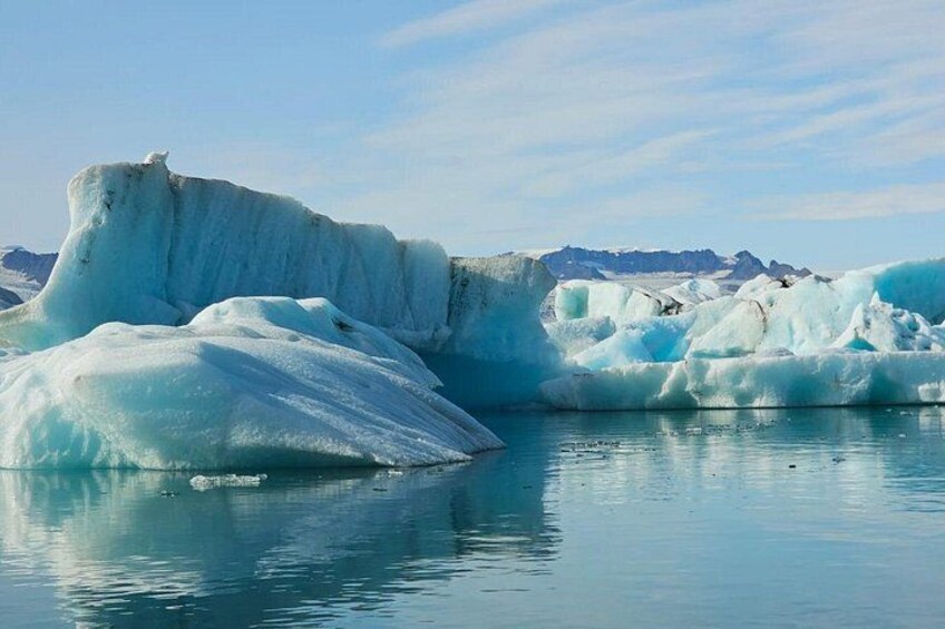 Diamond Beach & Jökulsárlón Floating Glacier Guided Day Tour 5