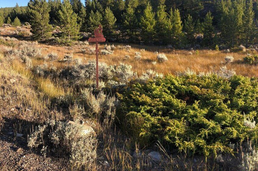 3-Hour E-Bike Tour of Trail of the Silver Kings (Old Mine Tour) 2