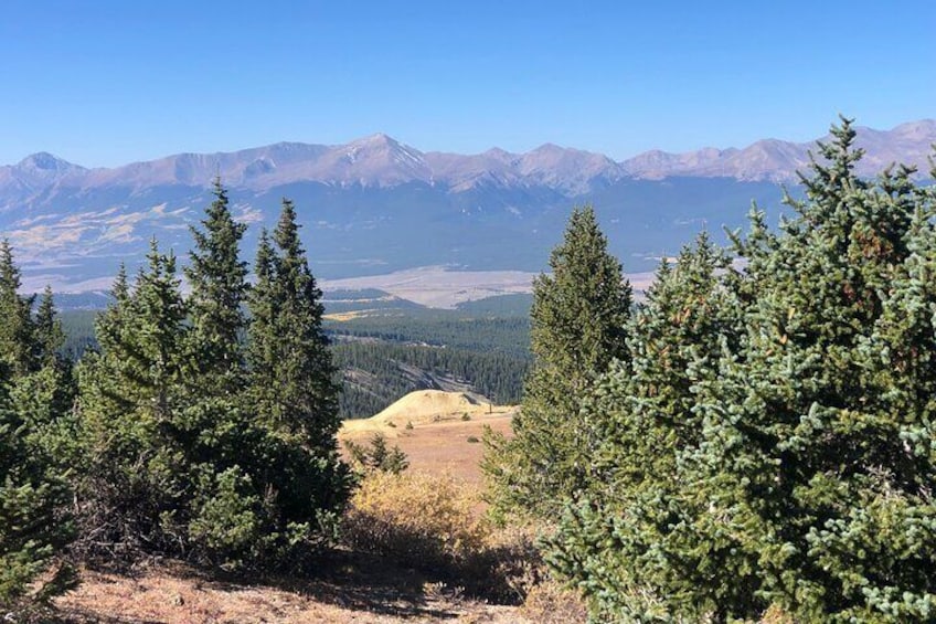 Un paisaje montañoso con árboles siempre verdes y cumbres nevadas a lo lejos. 2