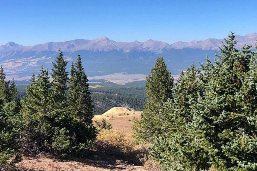 A mountainous landscape with coniferous trees and distant snow-capped peaks. 5