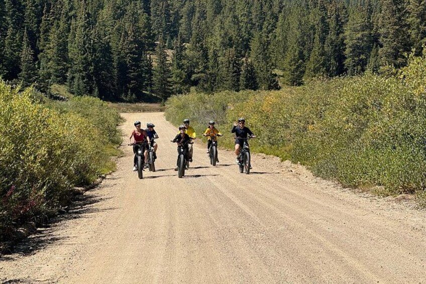 A group of cyclists on a dirt road surrounded by dense forest. 1