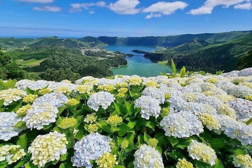 Vista do Rei 1
