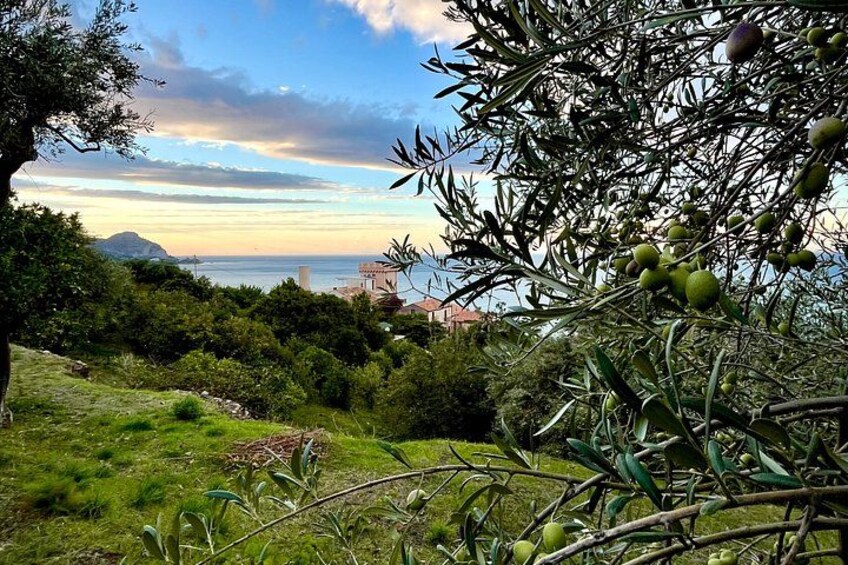 Sea Villa Cefalù: Hands-on 4-Course Pasta Cooking Class & Wine 5