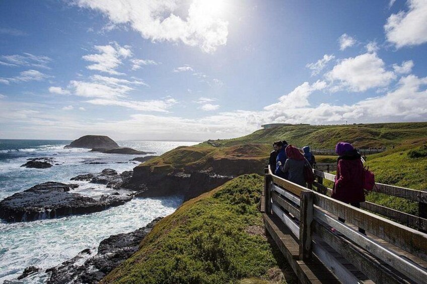 Puffing Billy And Phillip Island Penguin Parade Bus Tour 2