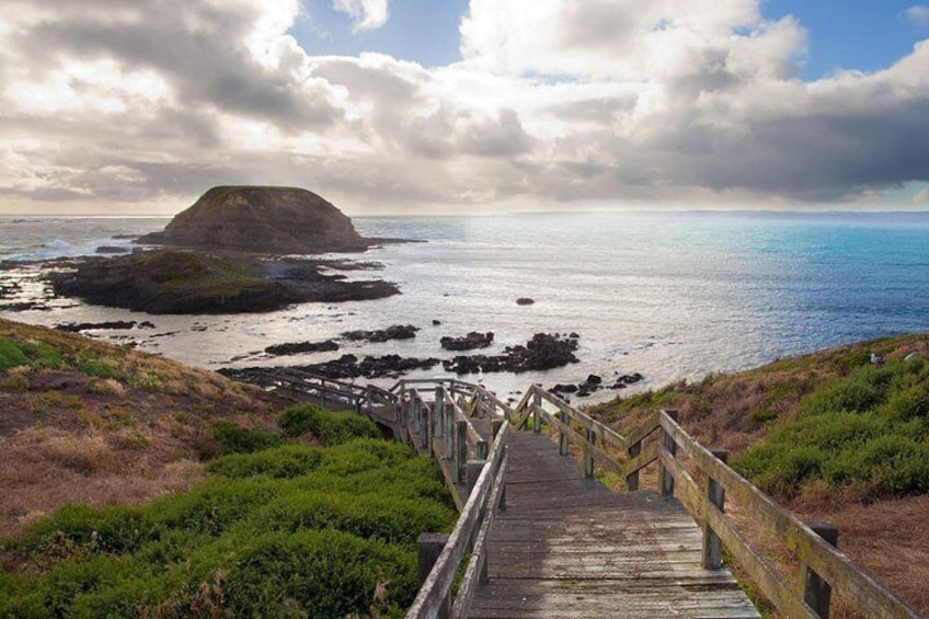 Puffing Billy And Phillip Island Penguin Parade Bus Tour 2