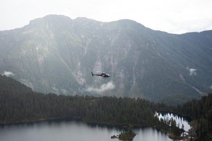 Pre/Post Cruise Helicopter BC Backcountry Tours with Hotel Pickup 5