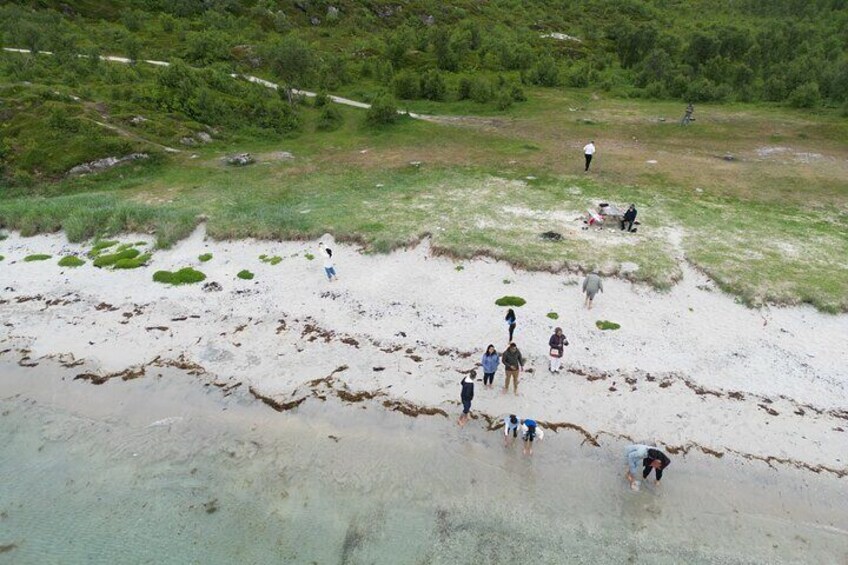 Tromsø & Sommarøy - Private coastal tour with a local