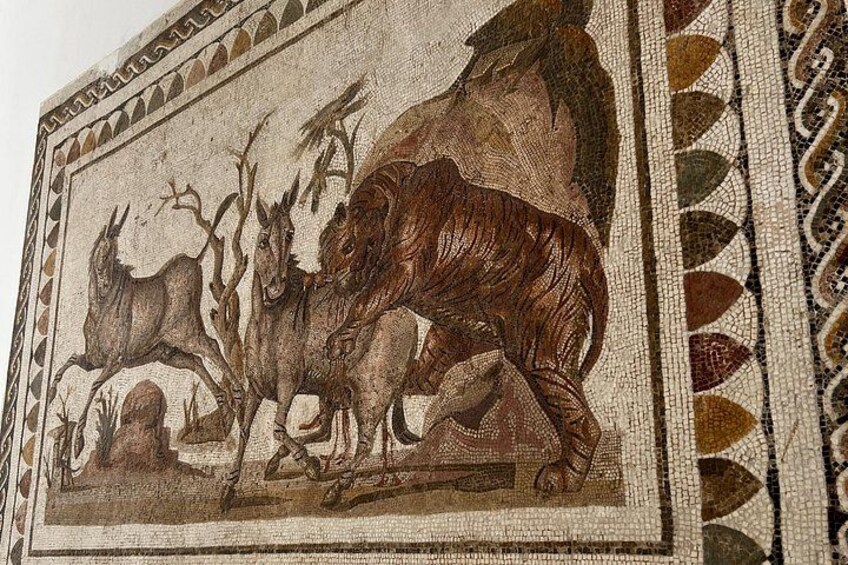 Museum of El Jem 3