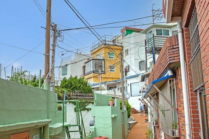 Busan Top Coastal Highlights with Gamcheon Village & Sky Capsule 3