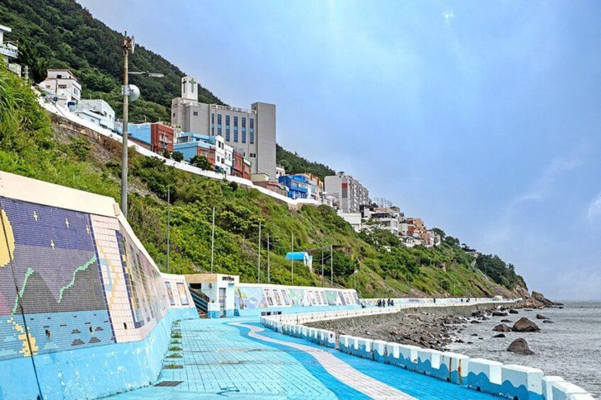 Busan Top Coastal Highlights with Gamcheon Village & Sky Capsule 3