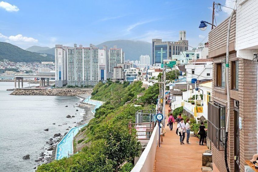 Busan Top Coastal Highlights with Gamcheon Village & Sky Capsule 3