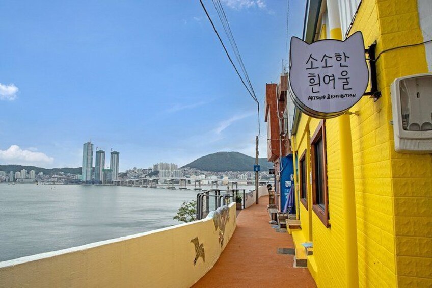 Busan Top Coastal Highlights with Gamcheon Village & Sky Capsule 3