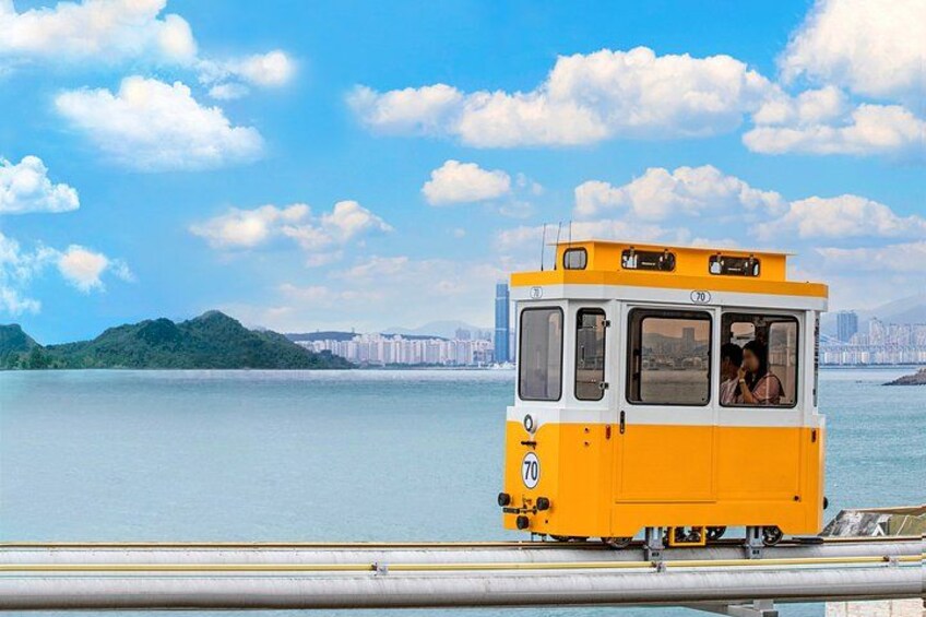 Busan Top Coastal Highlights with Gamcheon Village & Sky Capsule 2