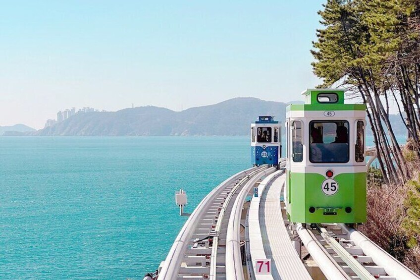 A green and blue train on tracks by a turquoise sea with a distant cityscape. 4