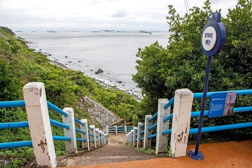 Busan Top Coastal Highlights with Gamcheon Village & Sky Capsule 5