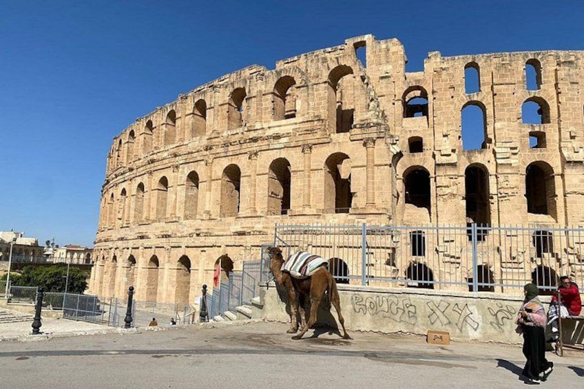 Het Colosseum met een kameel op de voorgrond en een persoon op de achtergrond. 5
