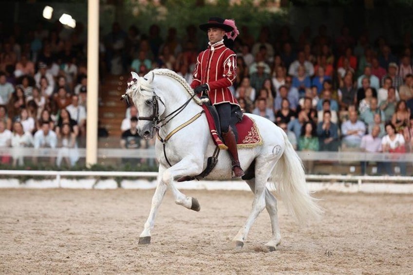 A person in equestrian attire riding a white horse in an indoor arena with spectators. 3