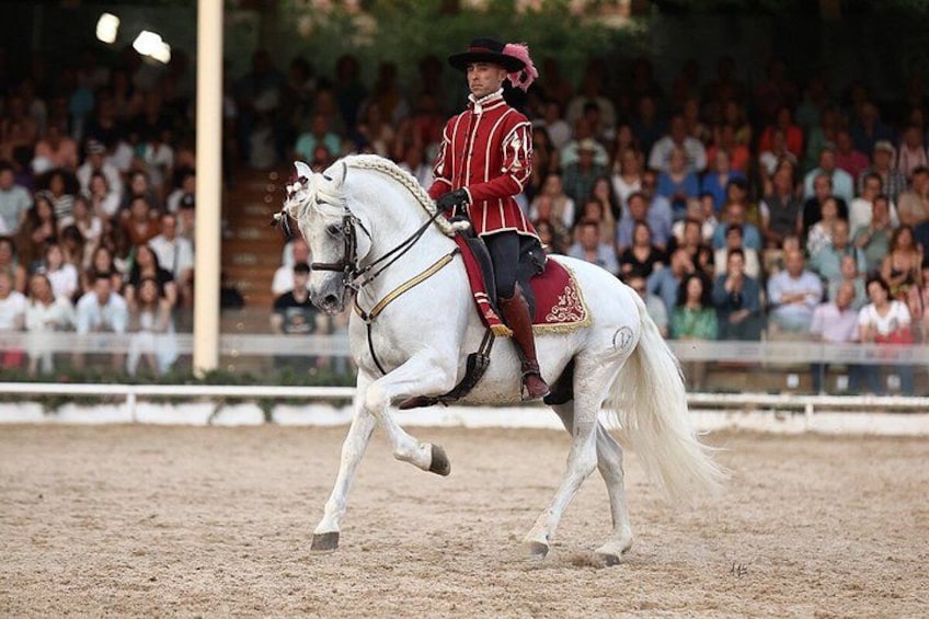 Equestrian Show Royal Stables of Córdoba 3