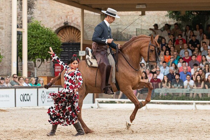 Equestrian Show Royal Stables of Córdoba 1