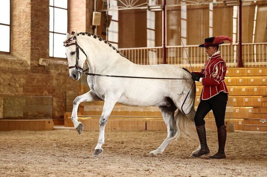 Equestrian Show Royal Stables of Córdoba 3