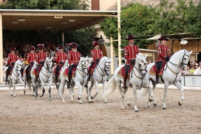 Equestrian Show Royal Stables of Córdoba 3