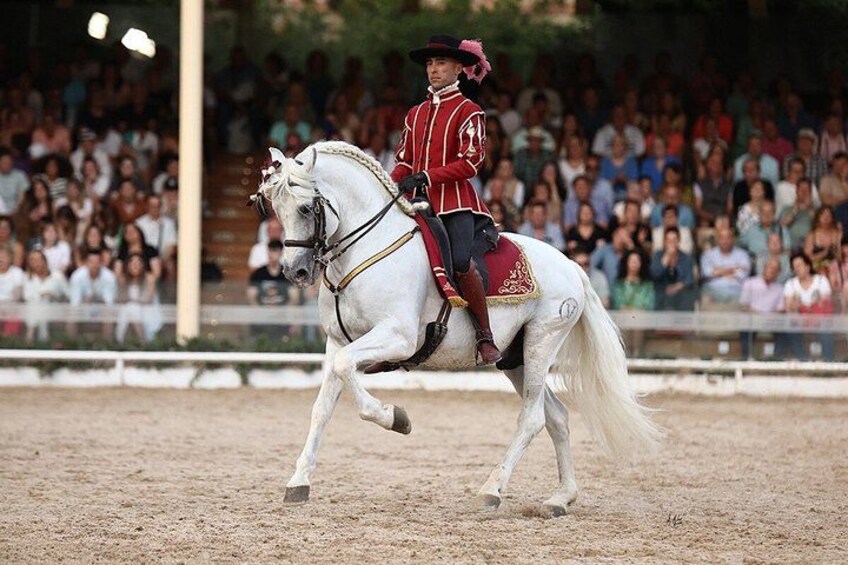 Equestrian Show Royal Stables of Córdoba 5