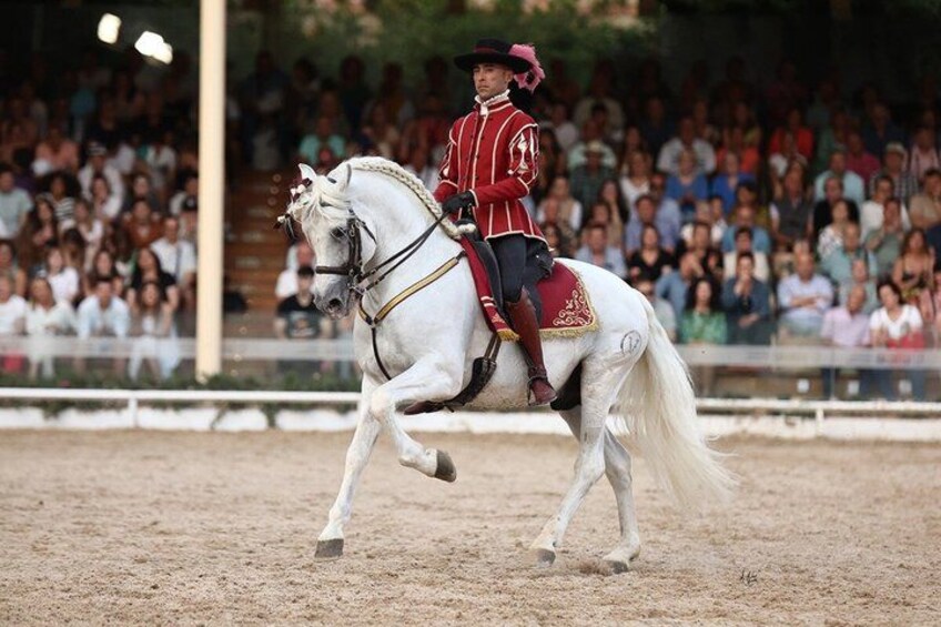 Equestrian Show Royal Stables of Córdoba 2
