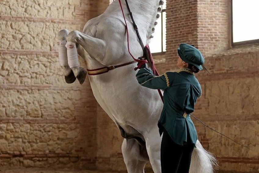 Equestrian Show Royal Stables of Córdoba 2