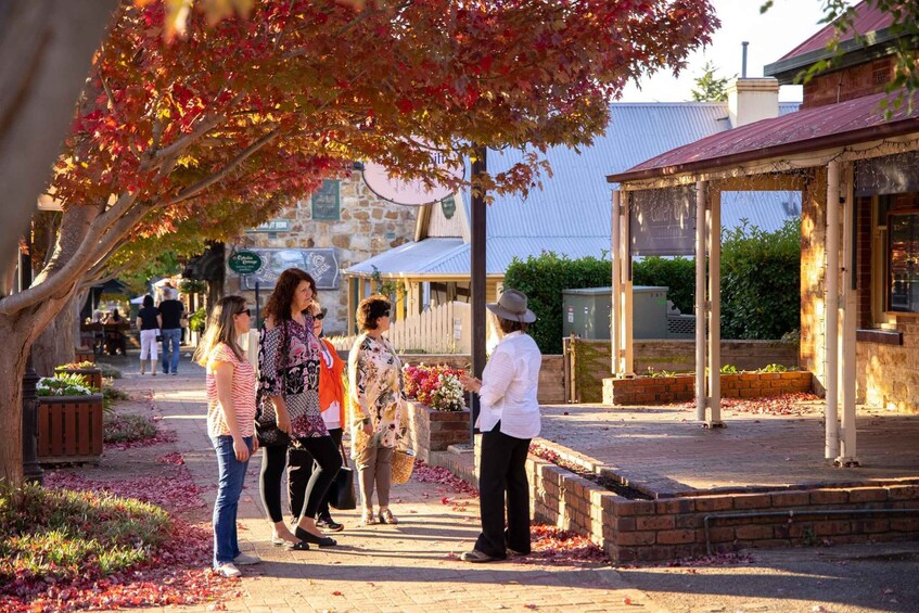 Hahndorf Walking Tour, South Australia 2