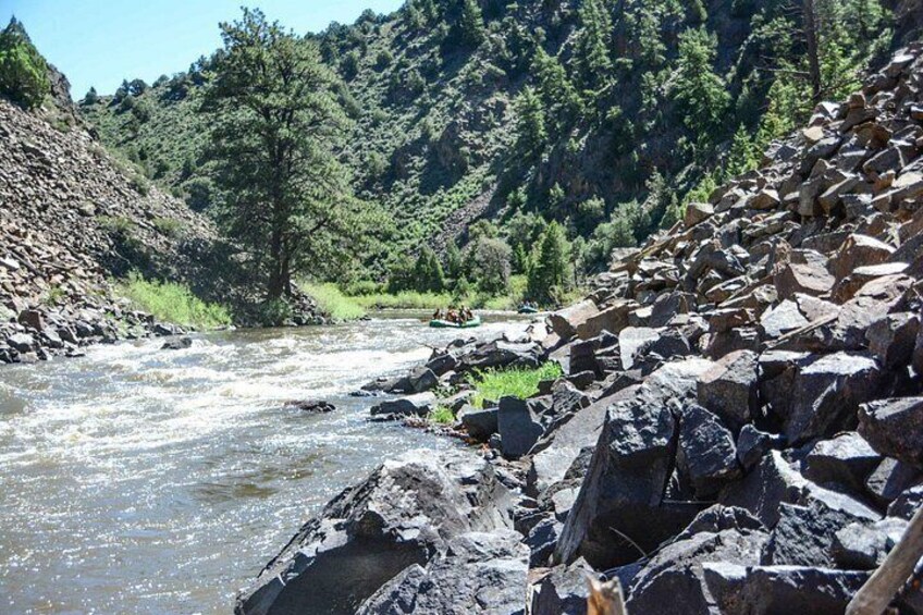 A river with rocks and trees in a mountainous area. 4