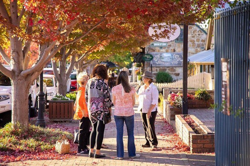 Strassendorf Walking Tour. Permission to use for Viator Hahndorf Walking Tour listing. 2