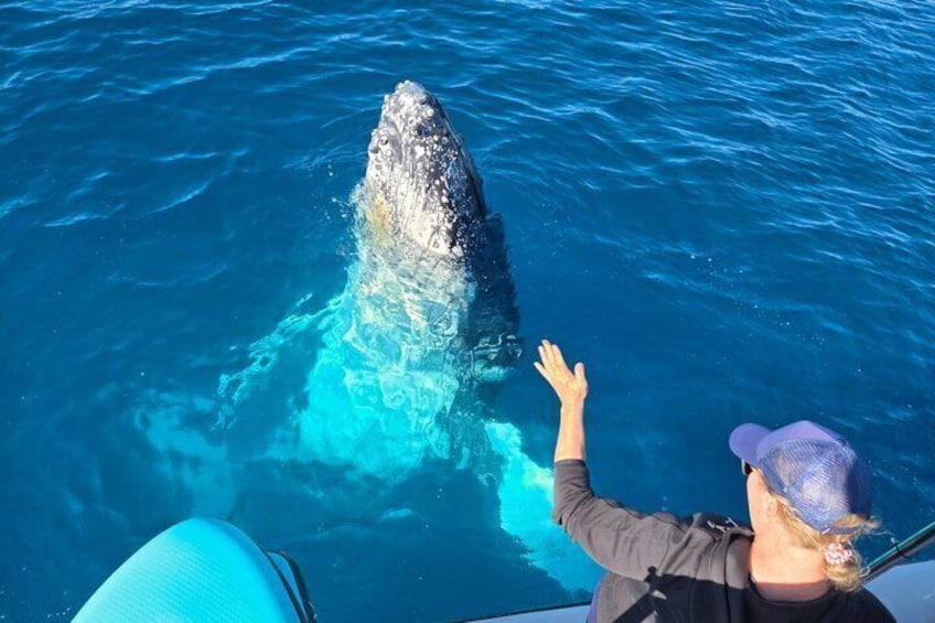 A person on a boat observing a whale breaching the water. 3