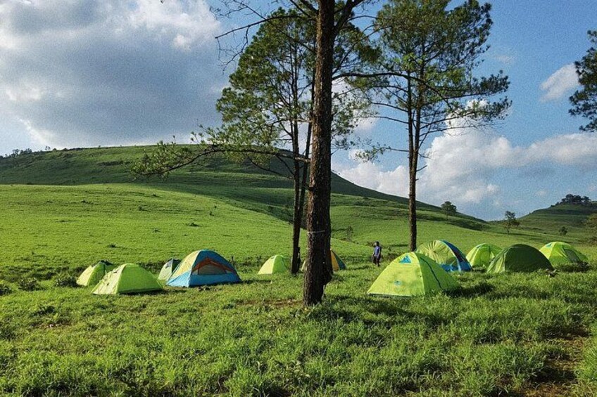 A grassy field with several tents and a person walking. 1