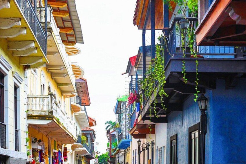 Panama City : Custom Walking Tour with A Guide (Private Tour) 4