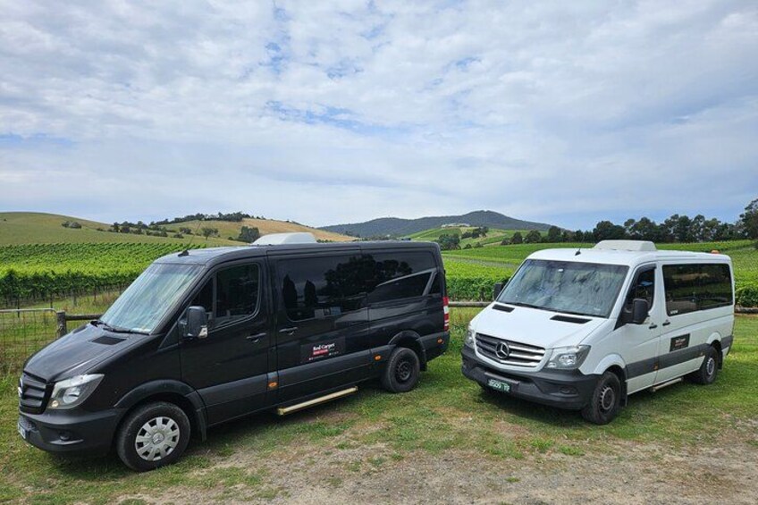 Yarra Valley Daily Public Group Wine Tour 2